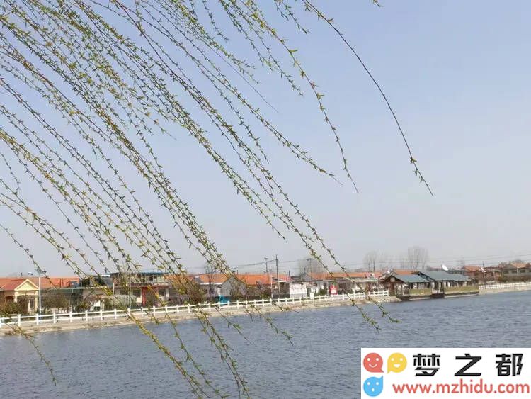 春天的微风中舞动的蛇影与人日佳作的诗意交融