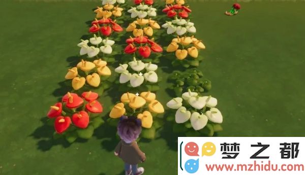 心动小镇彩虹繁育粉怎么使用