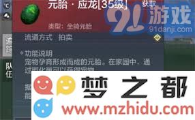 掌握妄想山海应龙捕获与获取物品的高效策略全攻略