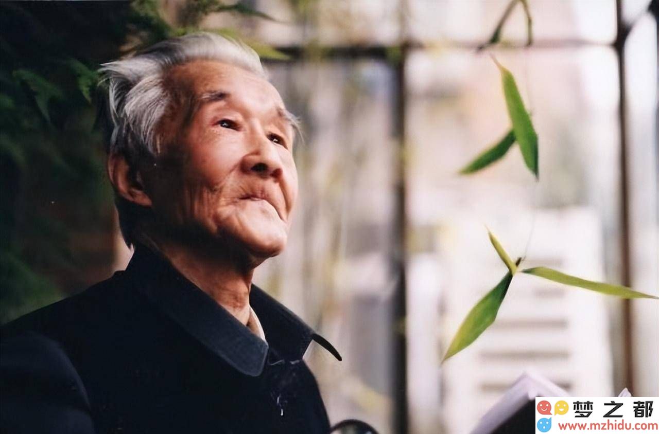 红学大师周汝昌：对《红楼梦》的深厚情感，以及他在书法与学术界引发的争议与讨论