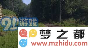 天国拯救2 溃疡支线任务完整攻略与技巧分享
