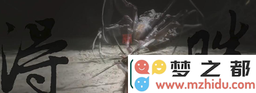 黑神话悟空情深不寿四十一难成就怎么做