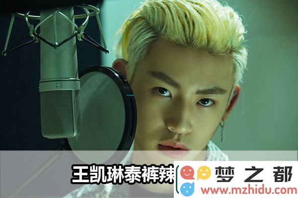 王凯琳泰裤辣表情包：助您提升技能与沟通魅力，轻松应对各种场合