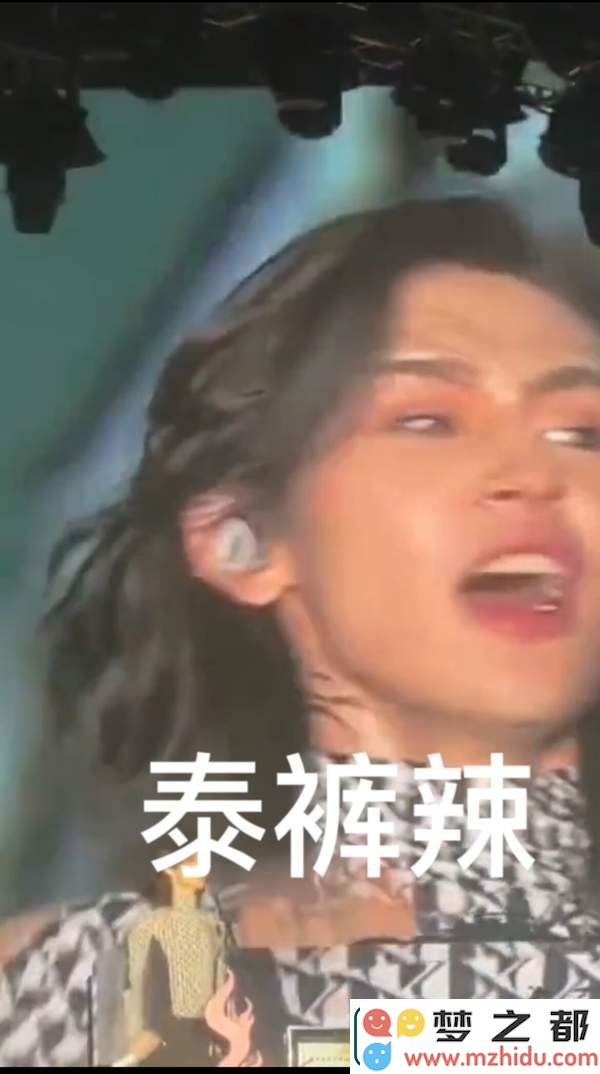 王凯琳泰裤辣表情包