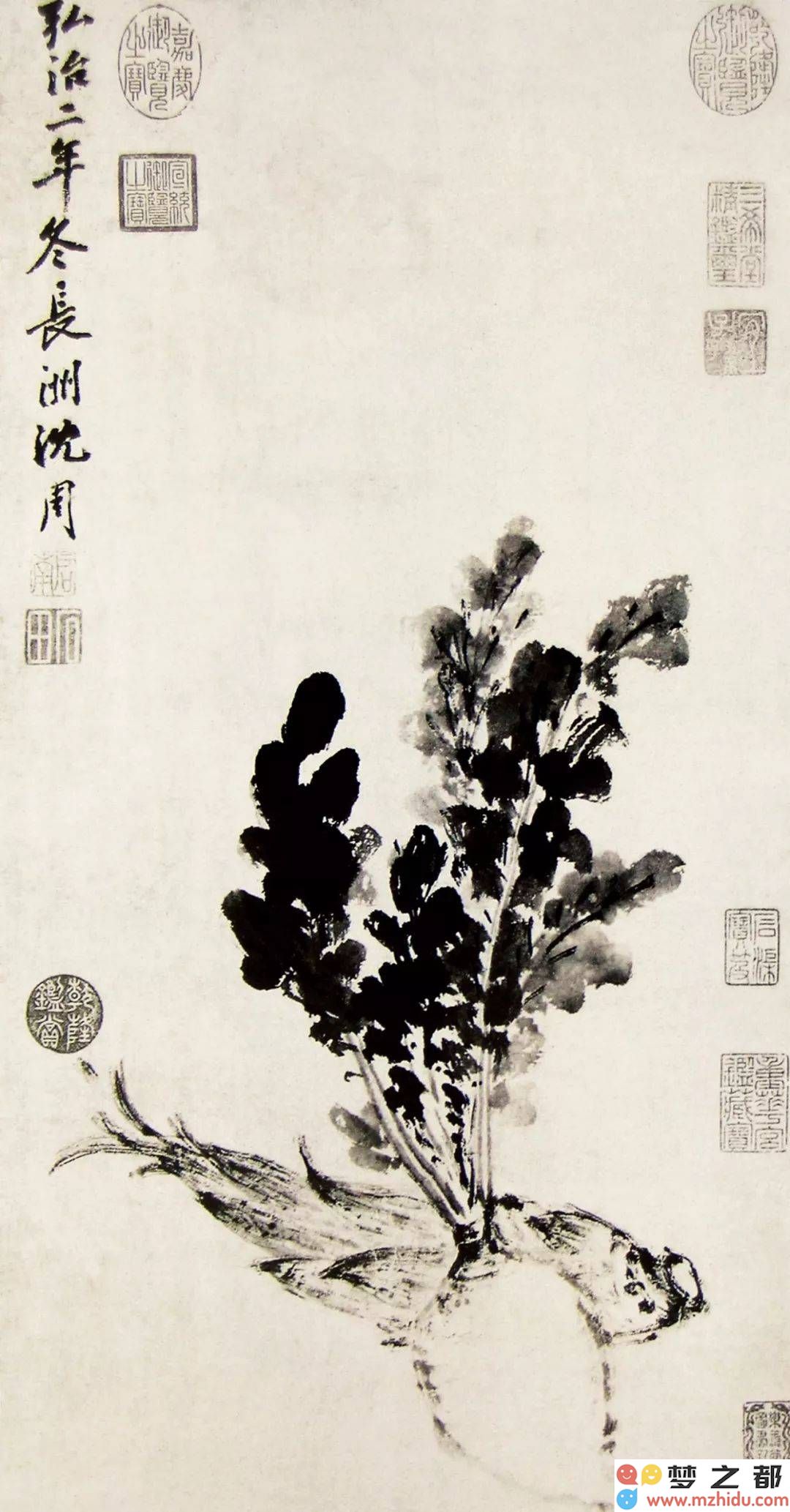 沈周：花鸟画的变革大师，笔墨间蕴含着生活的哲学与诗意的流淌！