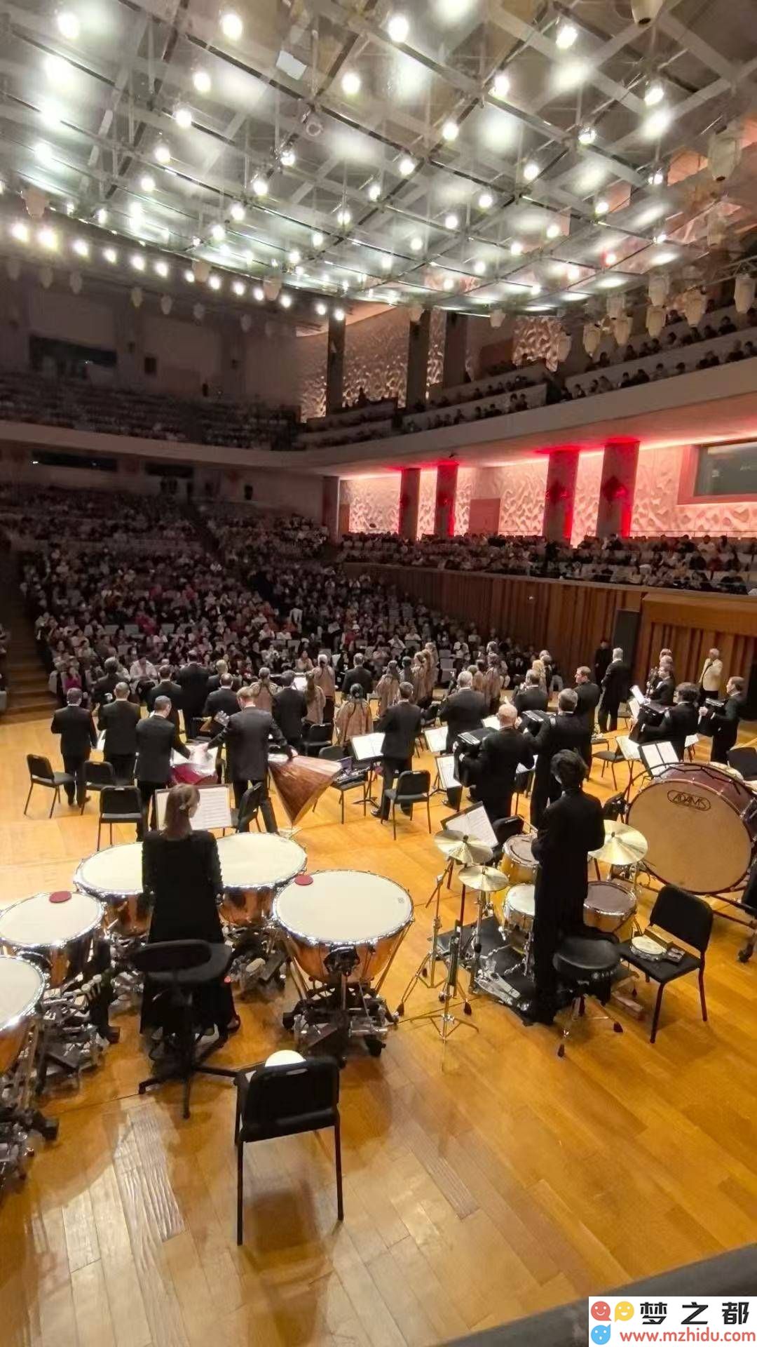 在俄罗斯风情音乐会的启示中：未来的演出舞台是否会被机器人完全接管，取代人类表演者的角色？