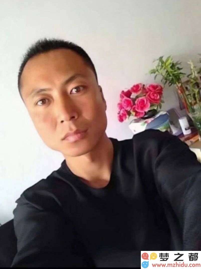 杜金龙的画笔描绘自然的色彩之美：在斑斓色彩中洞悉生活与自然和谐美的深刻哲理