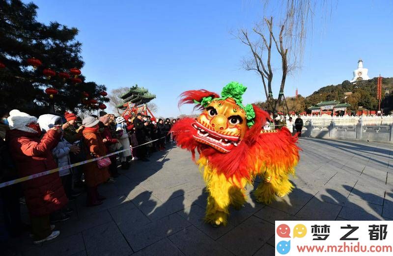 北海新春佳节：自贡花灯绚丽登场，非遗白纸坊太狮带来吉祥欢庆年