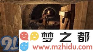 深度剖析盗贼职业的神秘领域及其迷人魅力背后的故事与细节