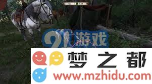 天国拯救2任务指南：深入解析爱、自由和荣耀的支线任务