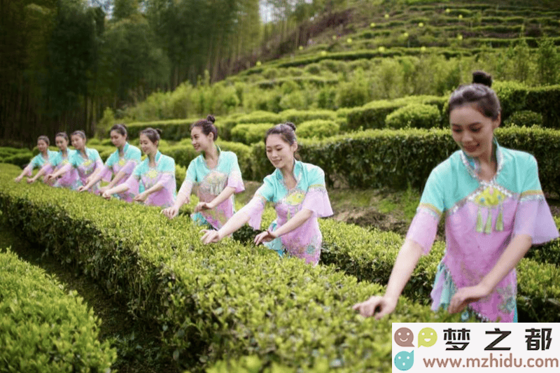 龙岩采茶灯：在吉祥的歌舞中欢庆新春，感受浓厚的年味与传统文化