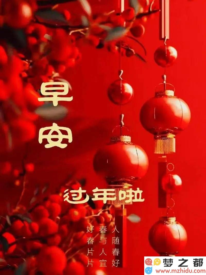 新春欢庆团聚情，蛇年启程心飞扬，梦想在这个崭新岁月里起航
