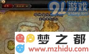 魔兽世界 玩家如何顺利前往德拉诺之王区域的全面指南和注意事项