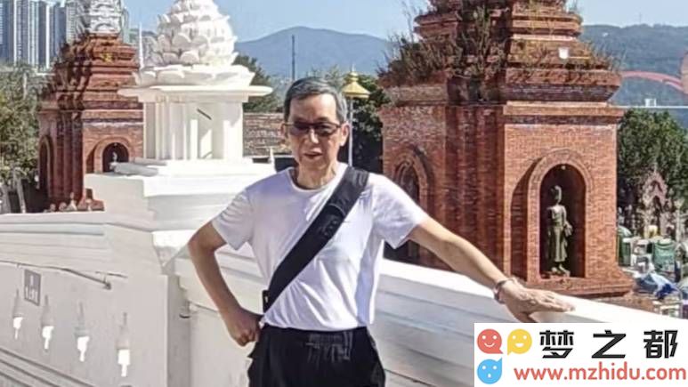 杨本庆作品鉴赏：在新春佳节中感受艺术与文化的华丽盛典