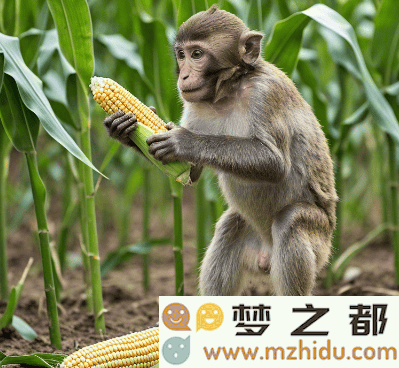 水舞灯光秀：步行街中的童年梦回与现代乐趣的绚丽交汇