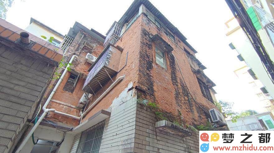 广东音乐的华丽转身：素社从传统乐社到现代街道文化的传奇演变