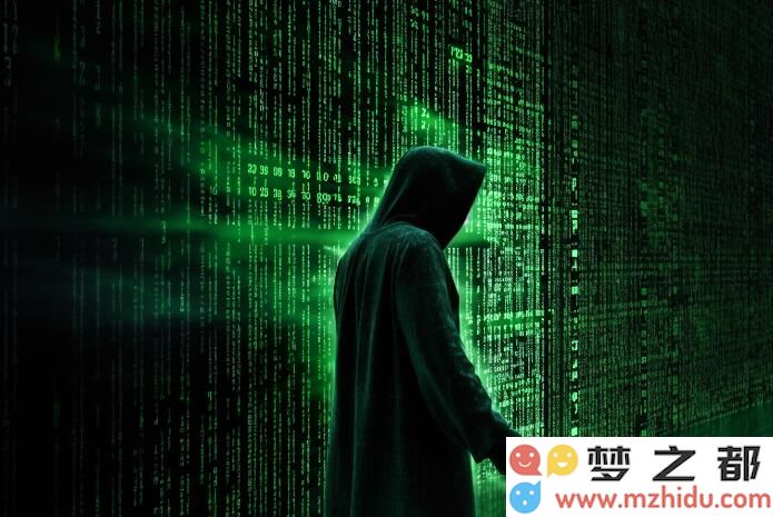 黑客 网络攻击 (1)