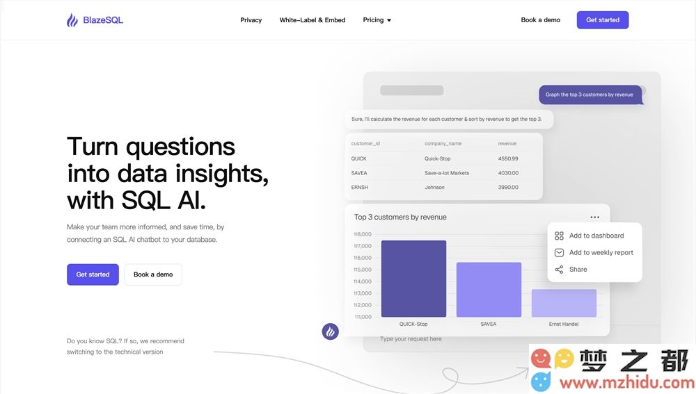 FireShot Capture 055 - Blaze SQL AI_ This AI Data Analyst does your work in seconds_ - www.blazesql.com.png