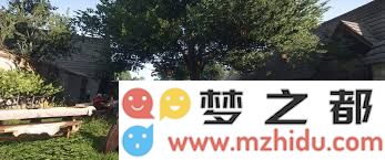 天国拯救2：获得闪耀奖牌成就的详细攻略与技巧分享