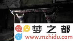 怎样有效地获取有关无人异常照片的详细信息和分析方法