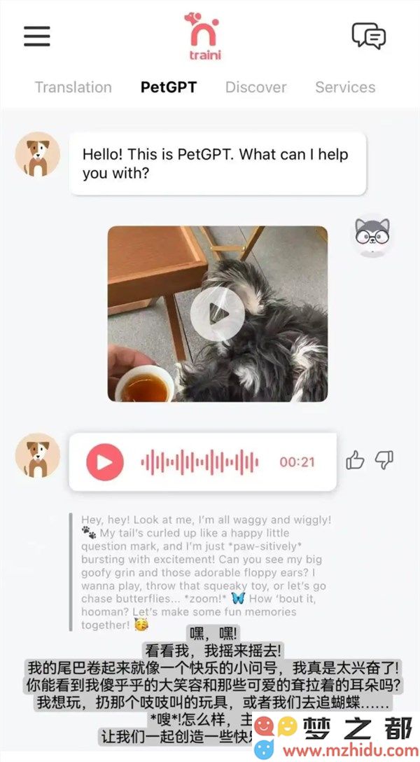 实现跨物种交流！AI人宠语言翻译软件大火：可检测宠物犬 12 种情绪
