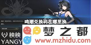 鸣潮游戏中的兑换码如何获取与使用方法揭秘