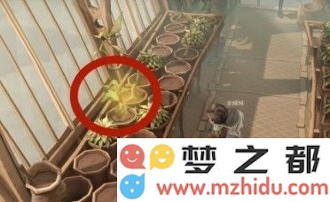哈利波特魔法觉醒不同的植物有不同的用途拼图位置攻略