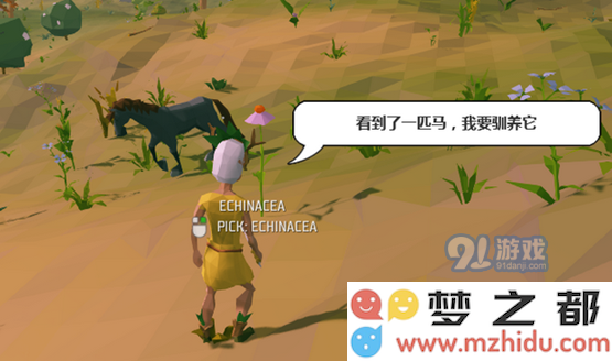 艾兰岛怎么玩