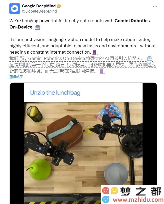 Deepmind发布全新机器人AI模型：Gemini Robotics On-Device，开创智能机器人新时代
