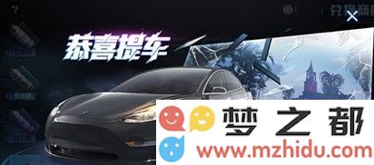 在和平精英中选择特斯拉的抽奖方式与直接购买的优劣比较分析