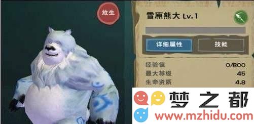 如何制作创造与魔法中的雪原熊饲料？雪原熊饲料的详细制作技巧与攻略