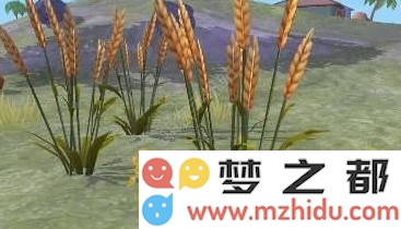 创造与魔法蓝马饲料制作攻略
