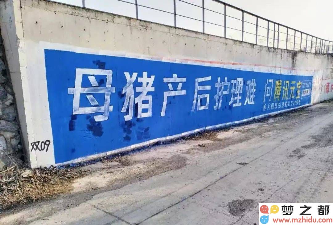 大厂进军乡镇市场，竞争激烈的大模型C端争夺战将如何演绎，谁将最终胜出？