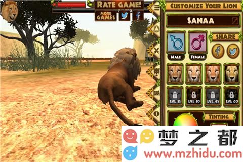 3D狮子模拟好玩吗 3D狮子模拟玩法简介