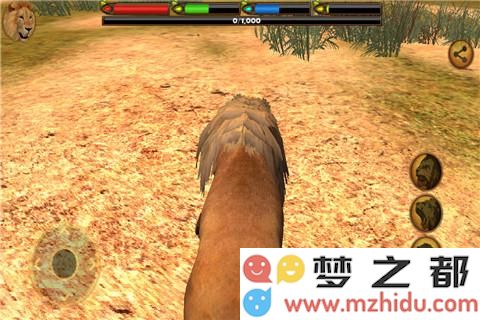 3D狮子模拟游戏的体验究竟如何 详细玩法攻略分享及是否值得一试的分析