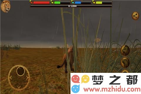 3D狮子模拟好玩吗 3D狮子模拟玩法简介