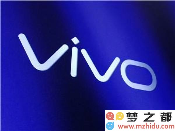 vivo推出全新“蓝极星计划”，全球招募优秀博士人才，薪资无上限，助力科技创新