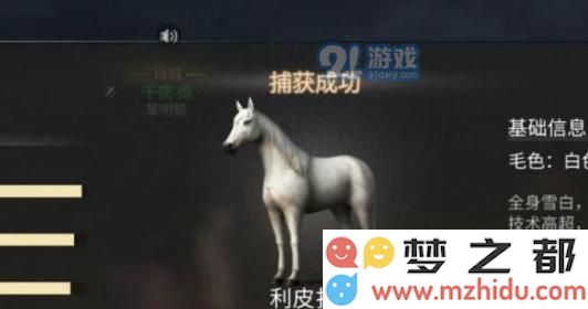 明日之后如果马匹逃跑了该如何处理？什么情况下会导致马匹逃离主人？