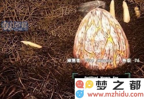 方舟生存进化手游怎么抓火龙 方舟生存进化火龙驯服技巧攻略