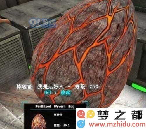 方舟生存进化手游怎么抓火龙 方舟生存进化火龙驯服技巧攻略