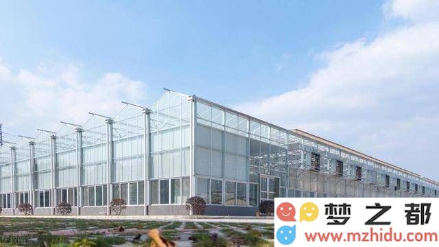 智能温室推动现代农业革命：提升产量与品质，构建美好未来餐桌的新纪元
