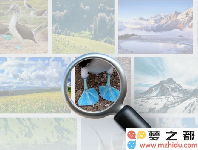 腾讯元宝全新升级: 一句话搜索立即呈现图片与视频，让信息获取变得更加直观与便捷!