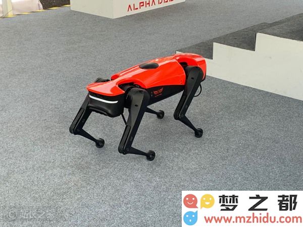 全球机器狗赛事即将开启，